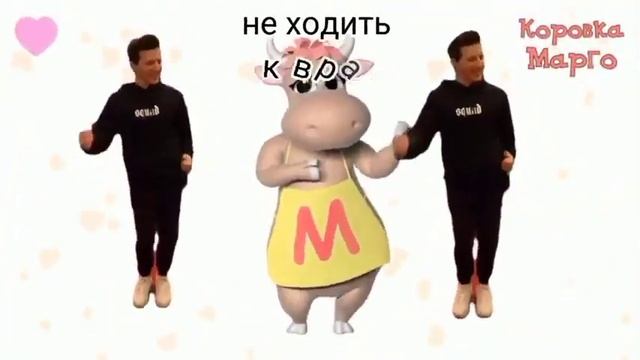 саня чек