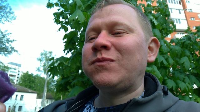 Дмитрий Гаврилкин - Фиолетовая Мышь - 2025