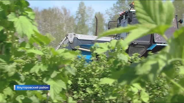 Обработка ягодных плантаций началась в Тюменской области