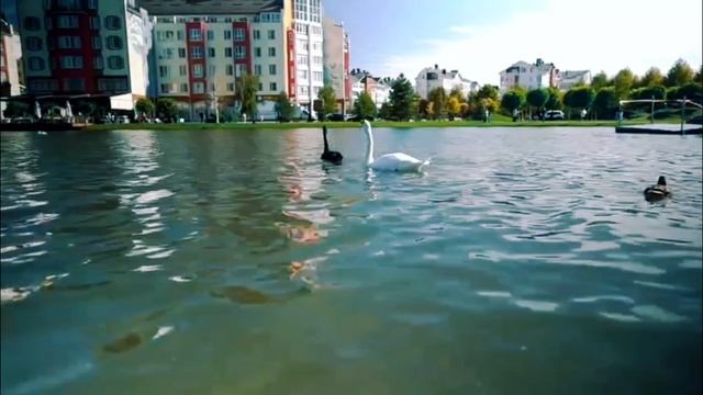 omletik.Krasnodar