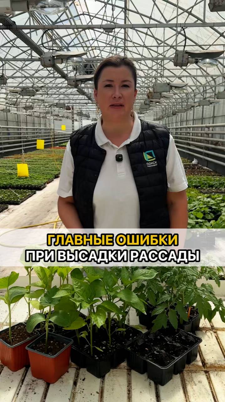 ГЛАВНЫЕ ОШИБКИ при высадке рассады!