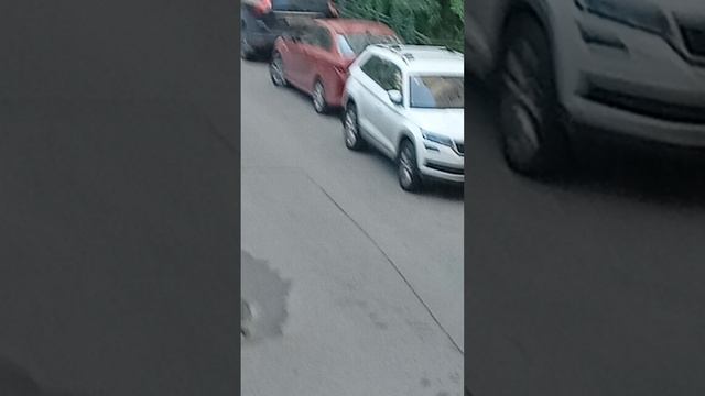 монцтр