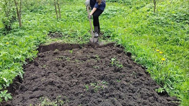 Пошли сажать картошку!)