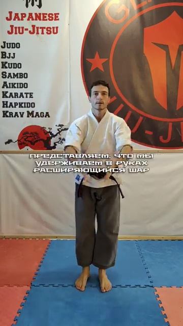 🥋Чой-разминка ."Журавль раскрывает крылья"