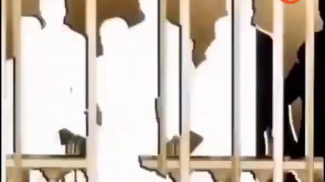 заставка суд присяжных СТВ Беларусь