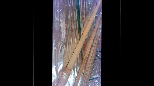 1000024213.mp4 (Собака наблюдает за проверкой плоскости каркаса для эмитации бруса внутри дома)