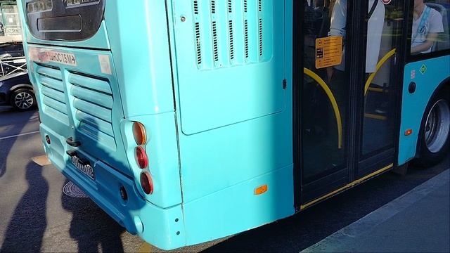 Автобус 367 маршрут Волгабас 5270.G2 6147 и 330 маршрут Волгабас 5270.G4 7103 Колпино Тверская Улица
