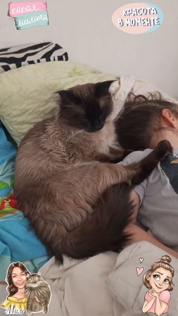 милота