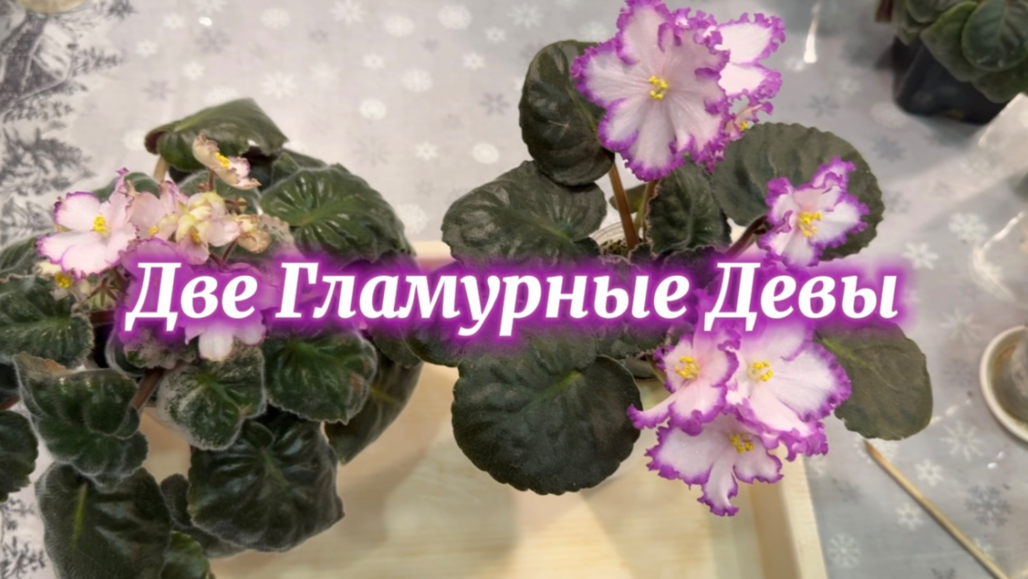 РС-Гламурная Дева устала, просит обновления