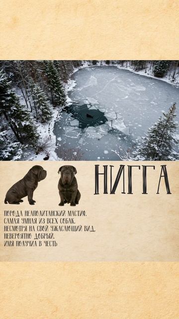 Собака Нигга