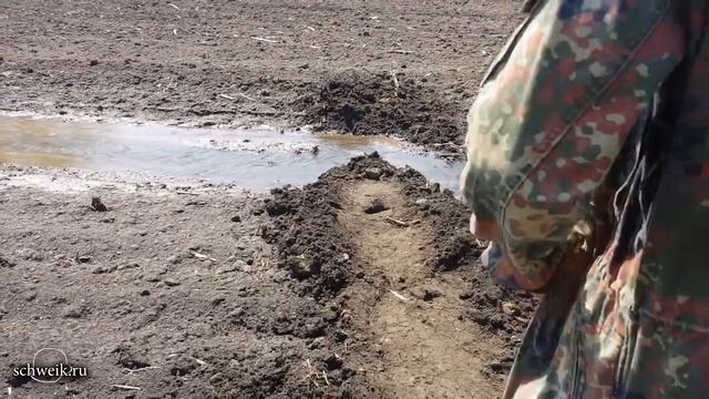 Порхающий черный копатель. / W poszukiwaniu starego gospodarstw