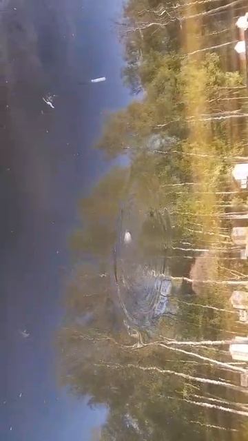 20.05.25 г. Парк отдыха водопад