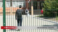 Участники ЕГЭ в Иркутской области смогут напрямую сообщать о нарушениях в Рособрнадзор