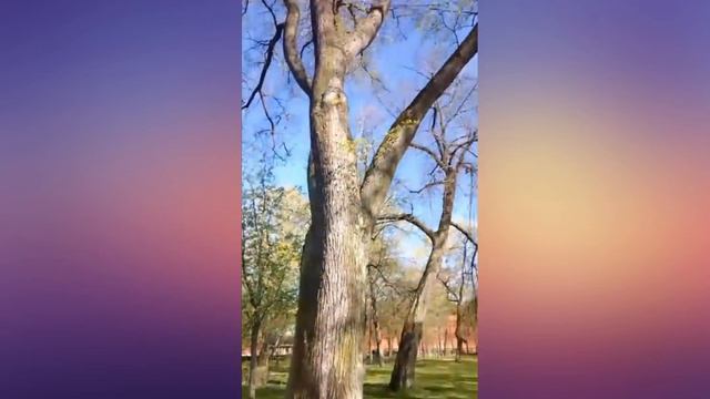 Прогулка по Кронштадту