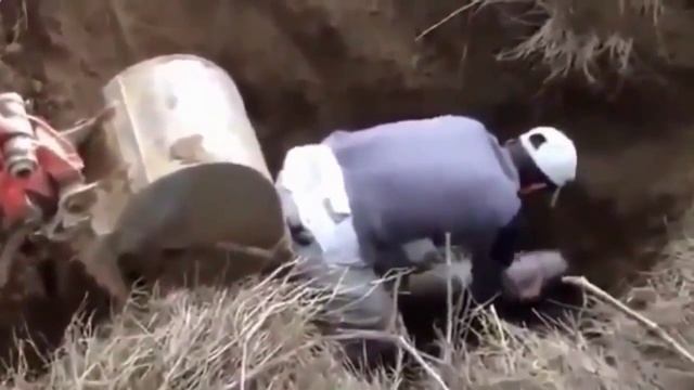 Где находиться сбербанк,Приколы над людьми, животными, падения подборка 2015 #1481