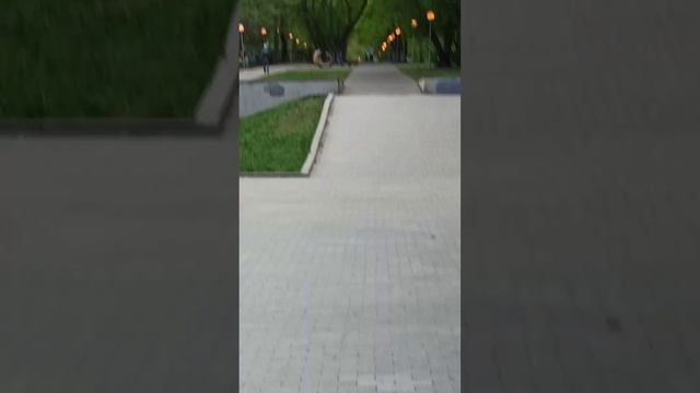 Моя тактика в жизни