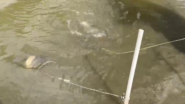 21.05.25 г. Парк отдыха водопад