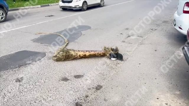 Пушкино. Московская область. Вражеский Дрон!