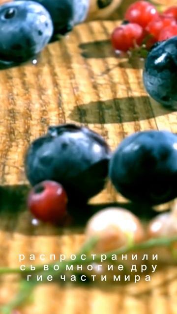 вишня #вишня #cherry #fruit