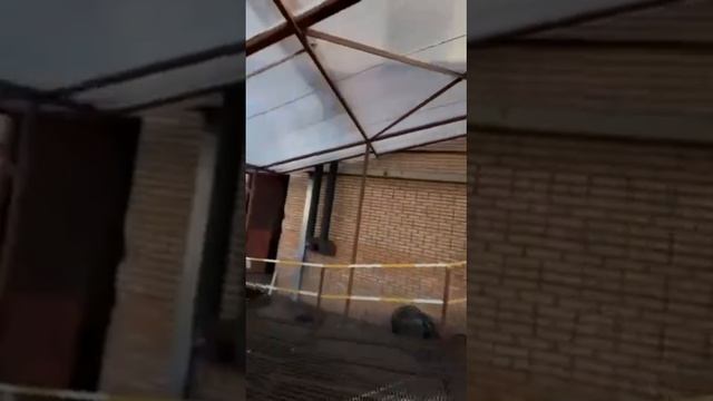 ☝️Нам бы от «старых» сперва избавиться. 🤦🏻♂️