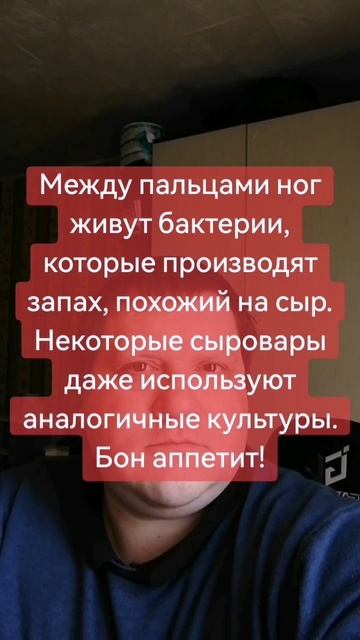 рубрика нелепые факты