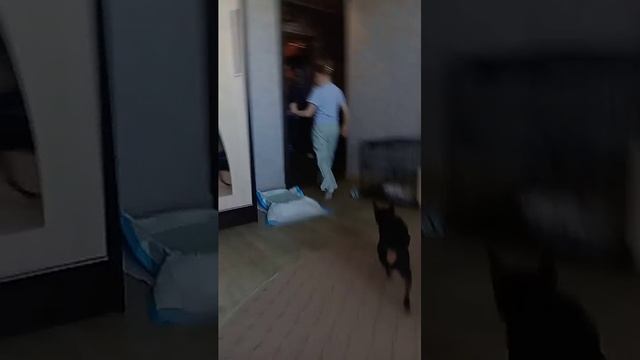 День рождения Маши (часть 4)