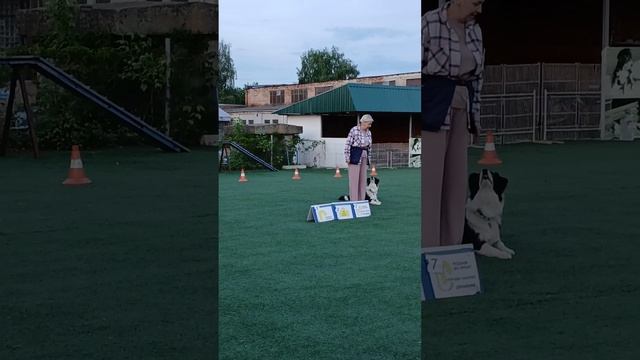 РО1 дебют Скотникова Светлана Нестель Голд Руна Кубок Панды 2025 по ралли обидиенс онлайн