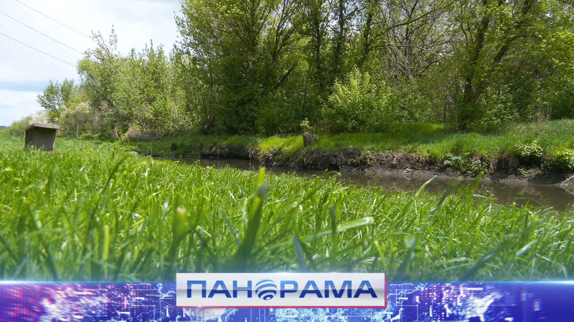 🌳  Без бюджета и громких слов: как добровольцы меняют донецкий «Парк Мира» на Боссе своими руками?
