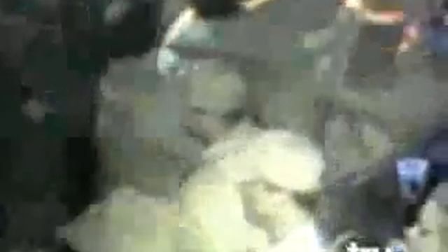 Лучший прикол супер-пупер видео оленей