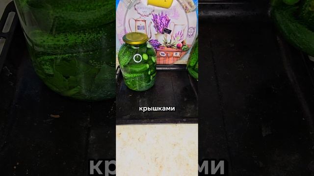 Квашеные огурцы как в бочке. Хранятся при комнатной температуре без кипячения и стерилизации