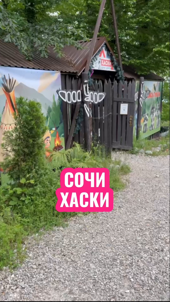 А вы любите собак?