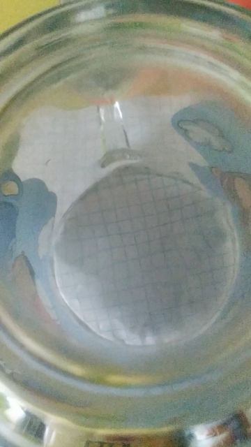 VID_20250521_150336.mp4