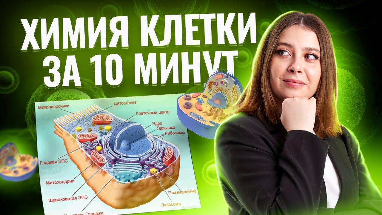 Химия клетки за 10 минут: Полный разбор ЕГЭ по биологии | Биология ЕГЭ 2025 | Умскул