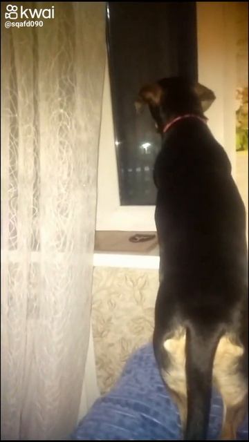 1000033006.mp4