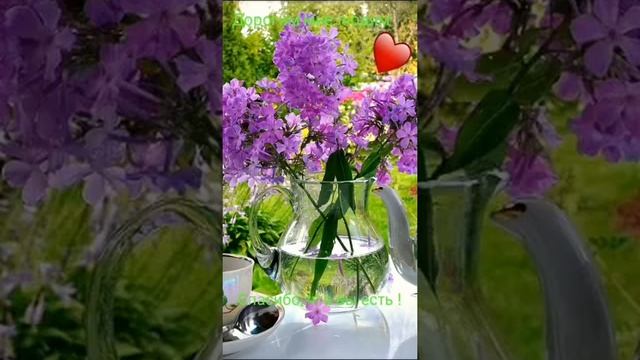 хороших выходных друзья