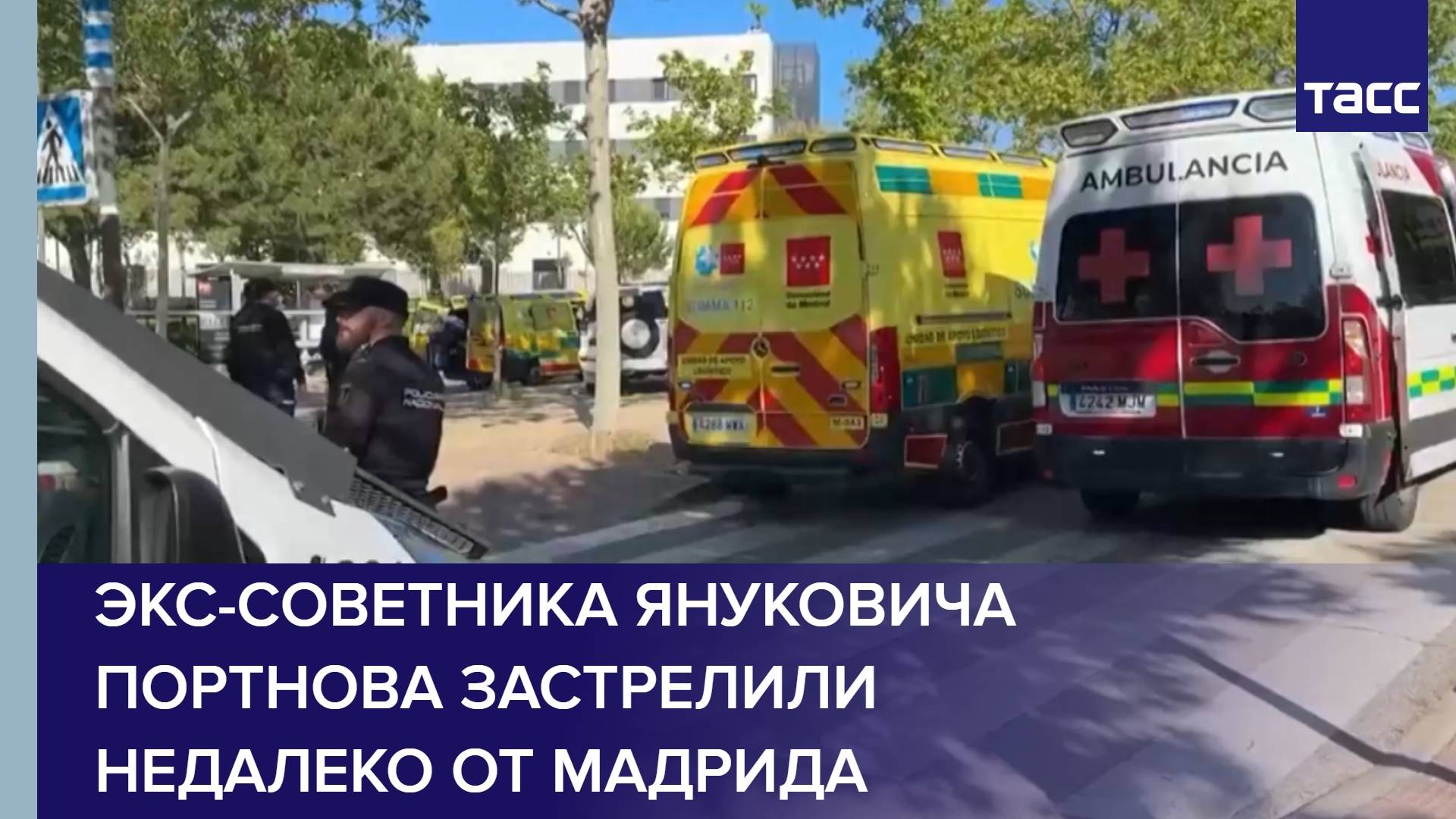 Экс-советника Януковича Портнова застрелили недалеко от Мадрида