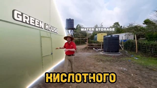 Бист сумасшедший