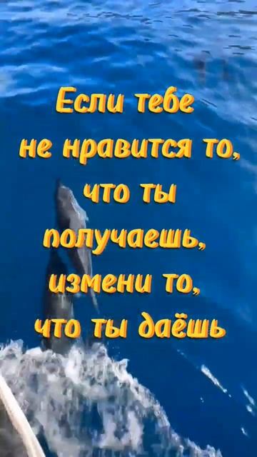 Будь щедр #shorts2024 #shortsviral #shortsvideo #shortvideo #2024new #new #верь
