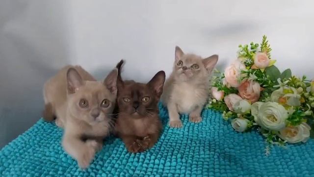 1000053358.mp4