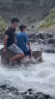 Я что, осел что-ли, чтоб в реку идти?