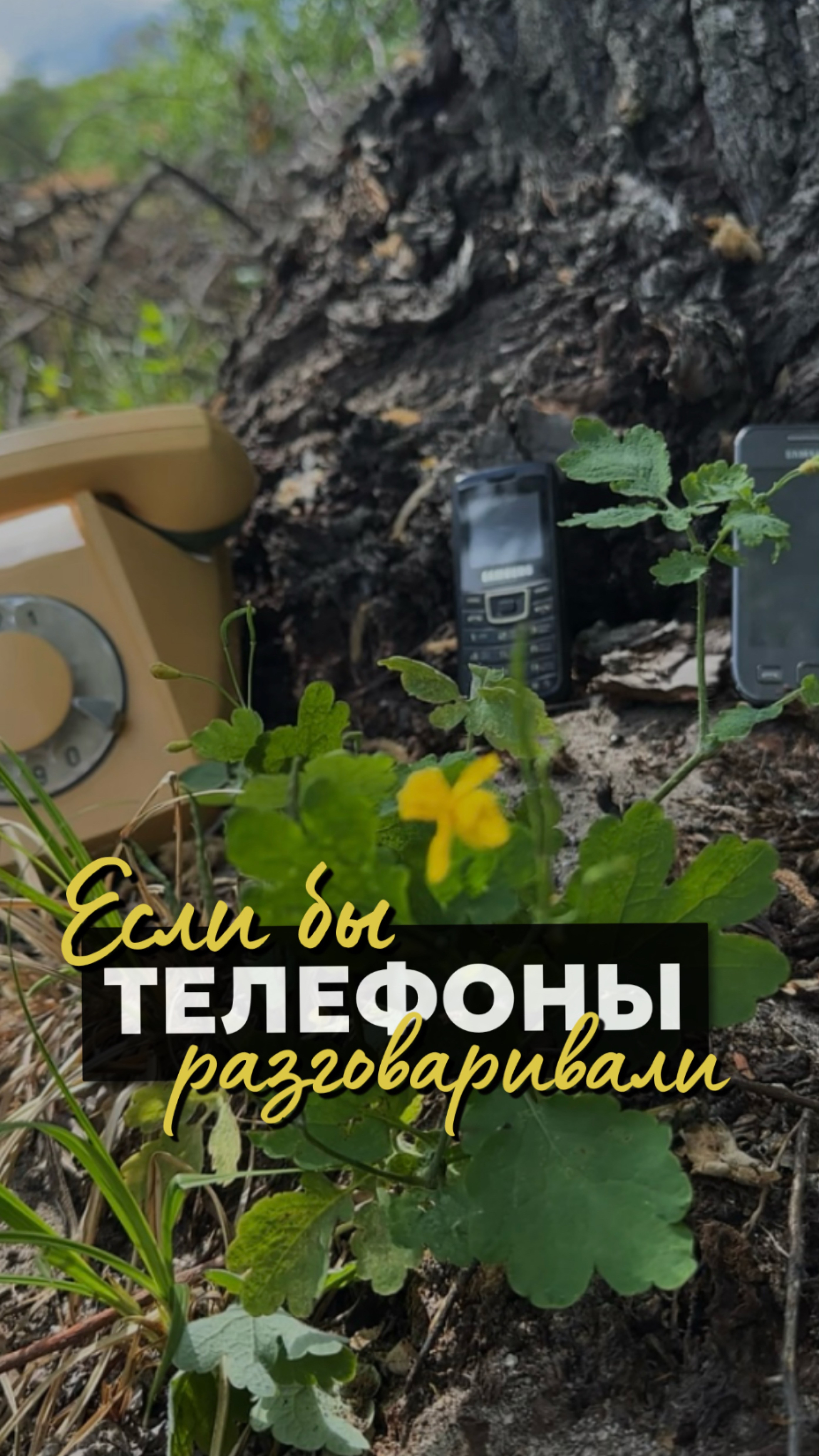 Если бы телефоны разговаривали