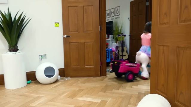 Мистер Макс Катя и Макс доставка для друзей