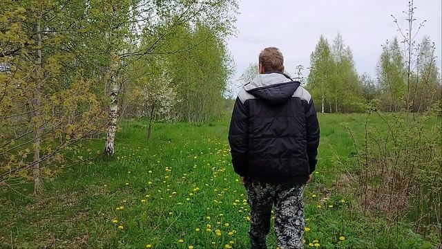 Прогулка в поля!