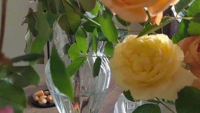 розы Остина 🥀🥀🥀цветочки 2 ноября