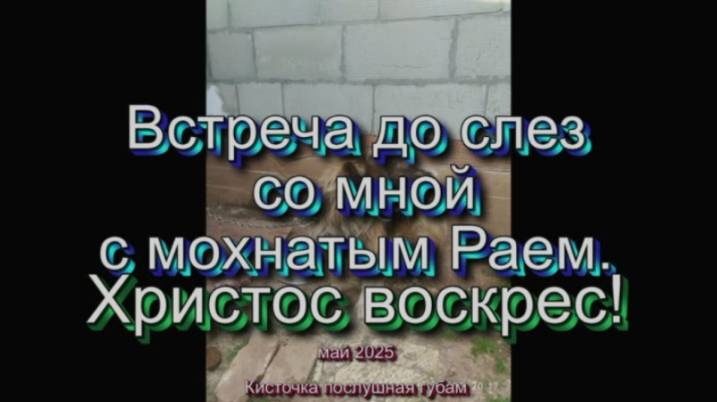 Встреча до слез со мной с мохнатым Раем - май 2025