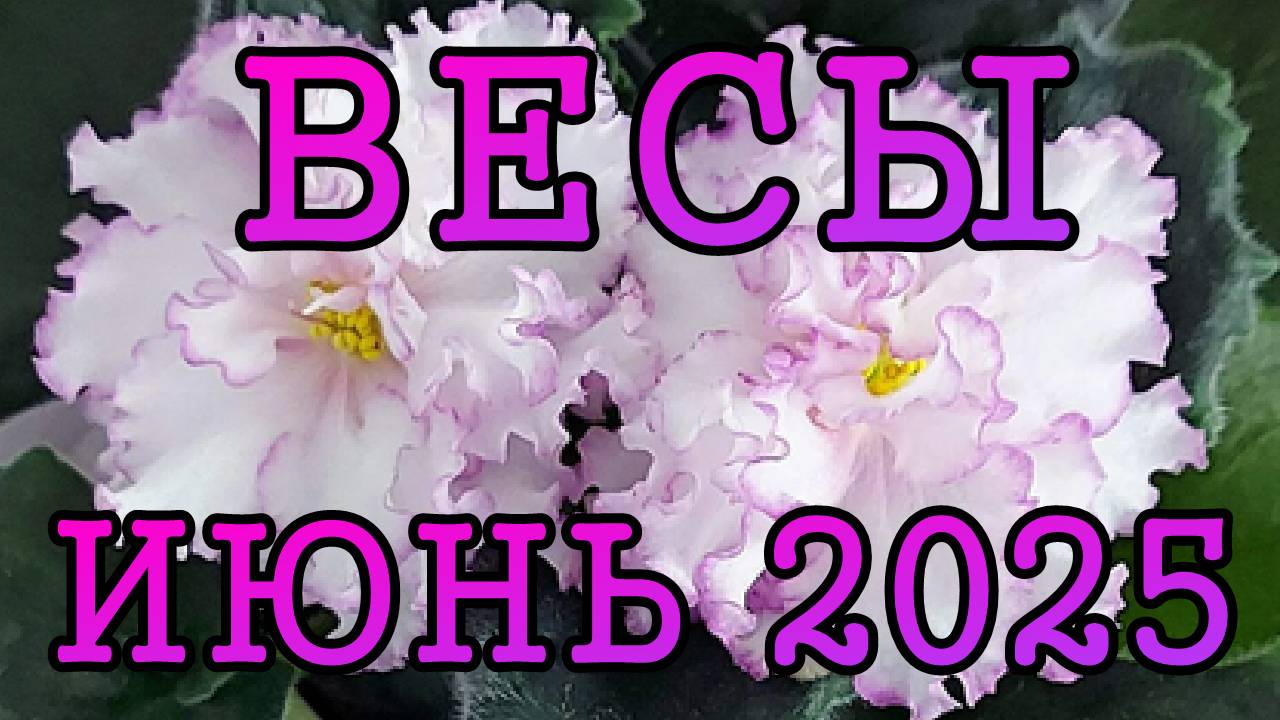 ВЕСЫ таро прогноз на ИЮНЬ 2025 года.