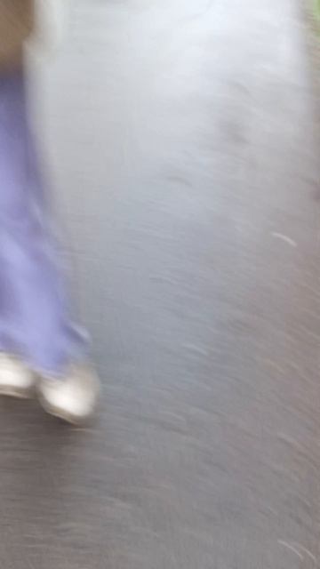 1000029024.mp4