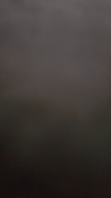 ухожу на три недели