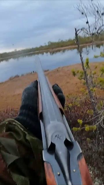 "Летять утки"