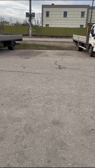 VID-20250418-WA0006